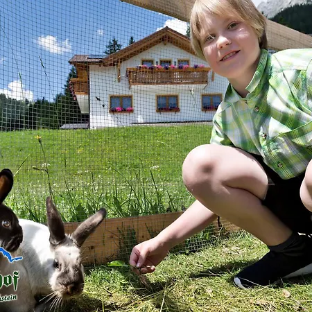 Kramlhof - By Mynests Ramsau am Dachstein